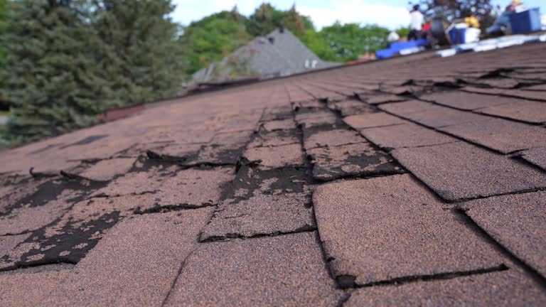 Best Hot Roofs  in Gaylord, MN