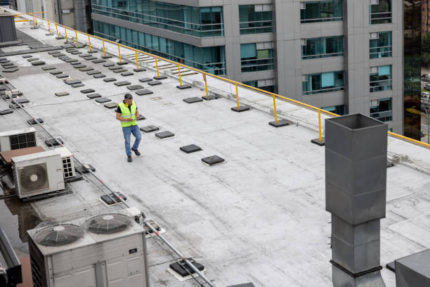 Best Cold Roofs  in Gaylord, MN