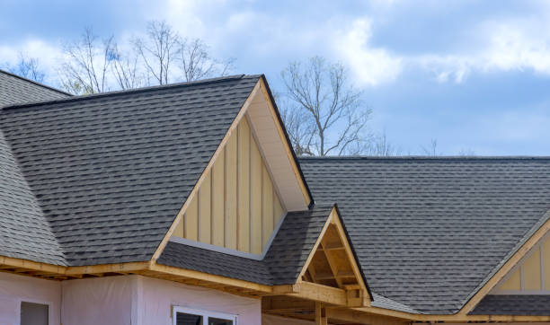 Best Roof Coating and Sealing  in Gaylord, MN